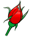 những bông hoa hình-ảnh-hoạt-hình-gif